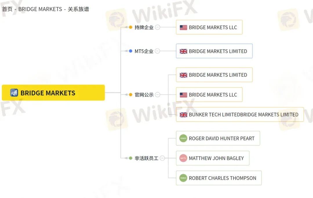 “想也有罪” Bridge Markets平台以“试图违规”为由任意扣留客户资金(8) “想也有罪” Bridge Markets平台以“试图违规”为由任意扣留客户资金(8)