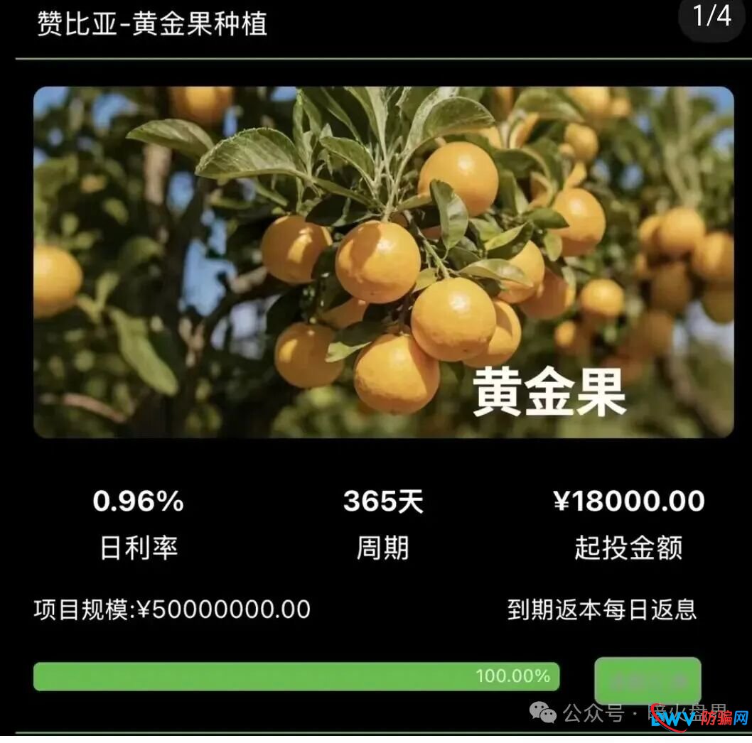 警惕“云种树”新变种!“华洋绿投”借赞比亚、东南亚果园噱头,专骗中老年养老钱(4) 警惕“云种树”新变种!“华洋绿投”借赞比亚、东南亚果园噱头,专骗中老年养老钱(4)