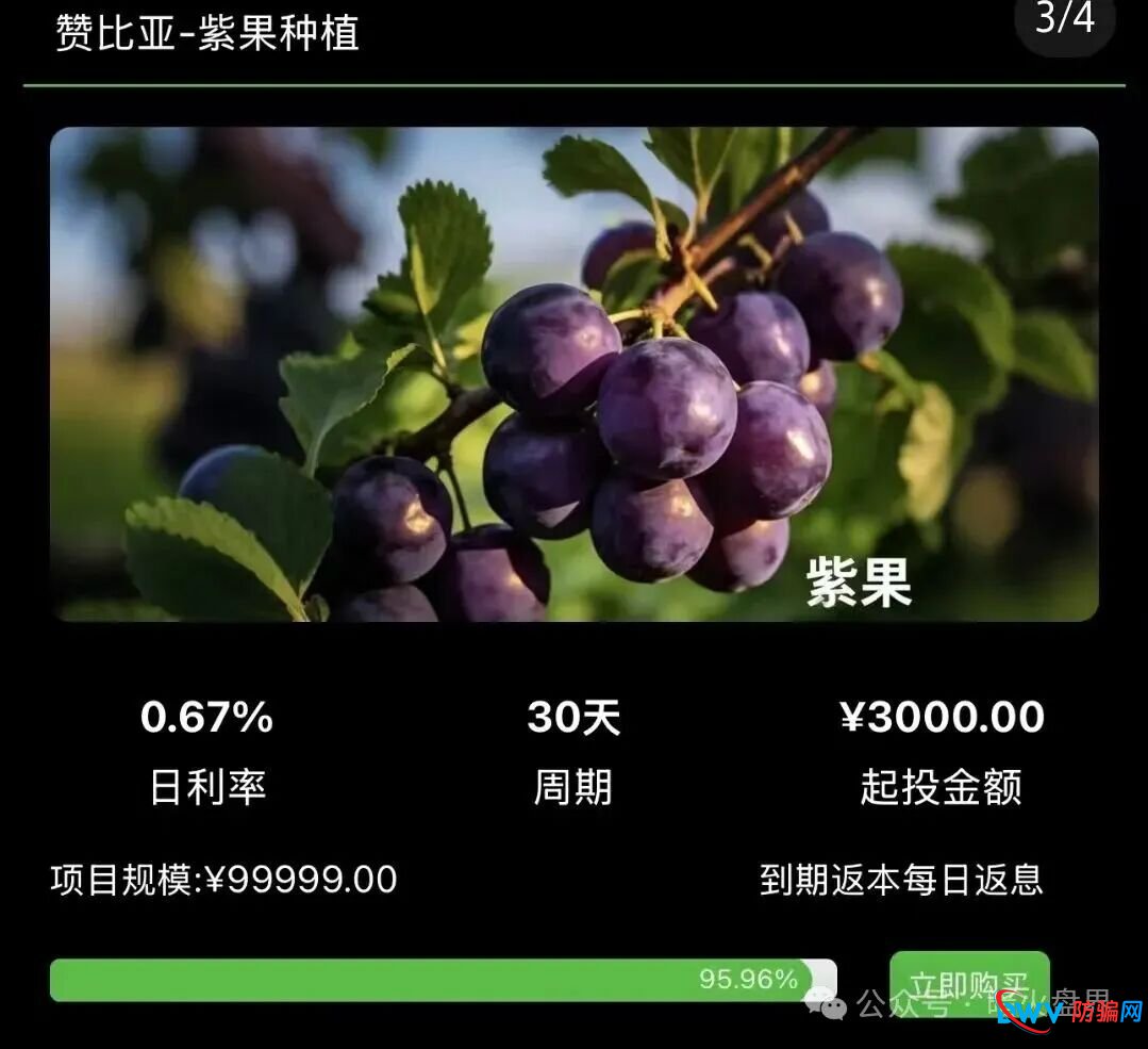 警惕“云种树”新变种！“华洋绿投”借赞比亚、东南亚果园噱头，专骗中老年养老钱
