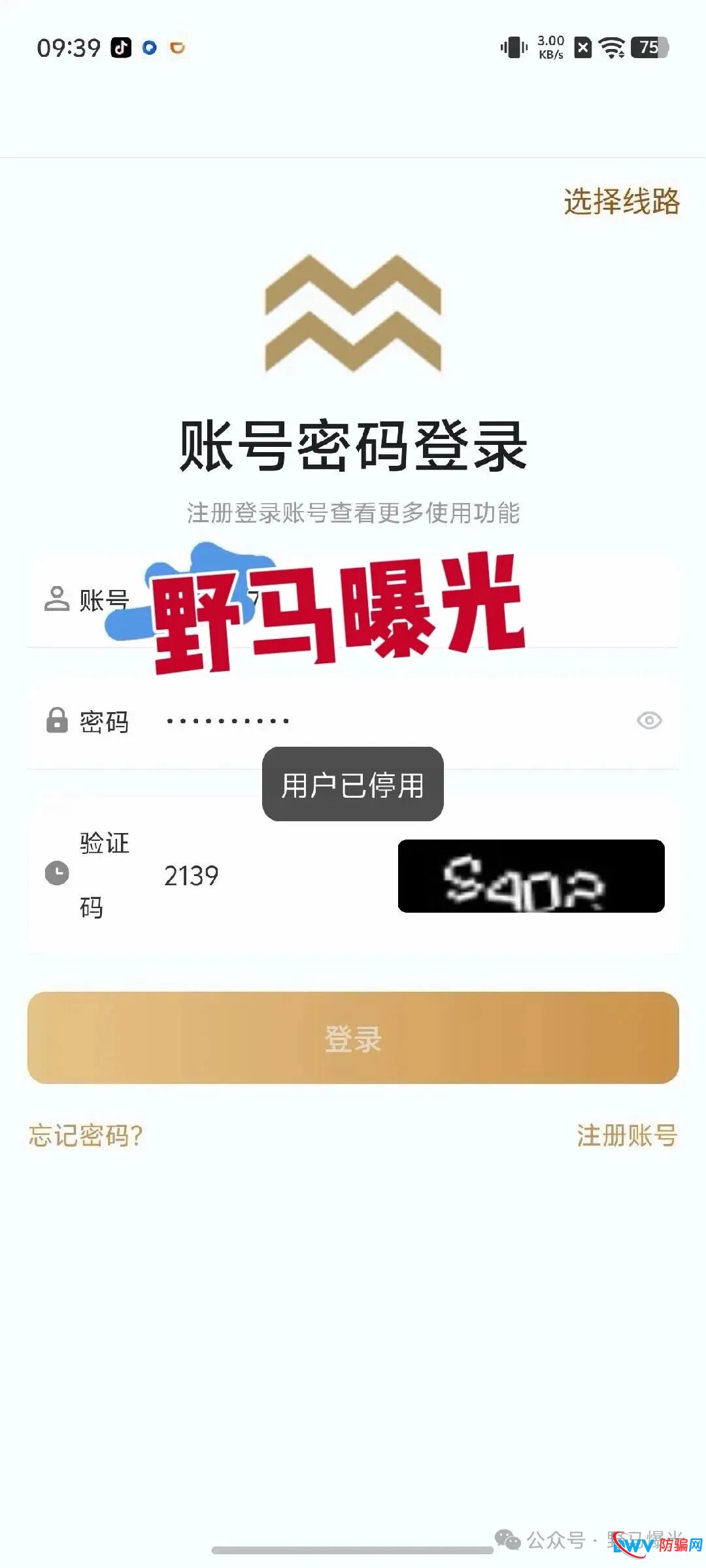 “米拉博”资金盘深度调查：赌徒心理让你血本无归，拉人头者更将面临十年牢狱！