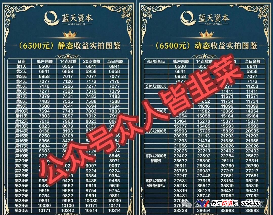 蓝天资本资金流向追踪：你充的6500元根本没去搞投资，全成了操盘手的跑路费